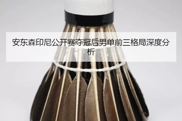 an-dong-sen-yin-ni-gong-kai-sai-duo-guan-hou-nan-dan-qian-san-ge-ju-shen-du-fen-xi-2-412.jpg